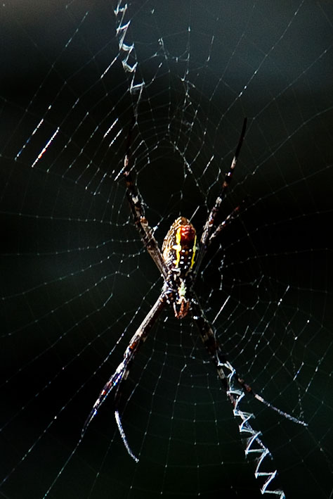 Anzeige Vollbild