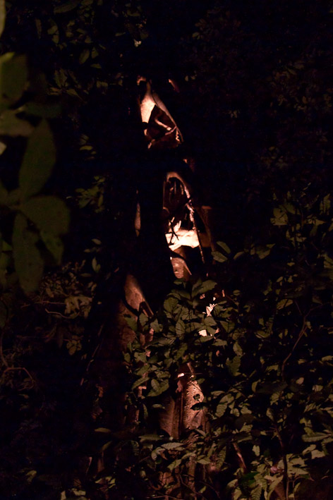 Anzeige Vollbild